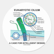 Eukaryotic Cilium A Case For Intelligent Design Sticker