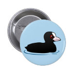 Eurasian Coot Buttons