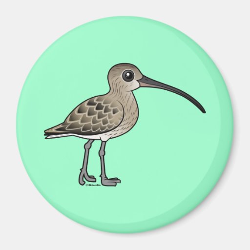 Eurasian Curlew Refrigerator Magnet