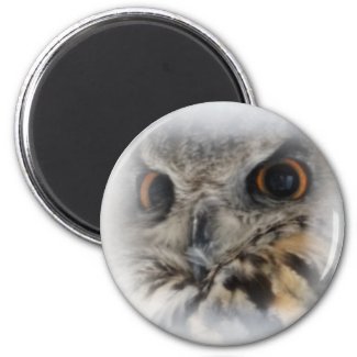 Eurasian Eagle-Owl Magnet