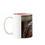 Eurasian Eagle Owl mugs