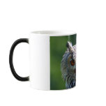 Eurasian Eagle-owl mugs
