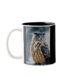 Eurasian Eagle Owl mugs