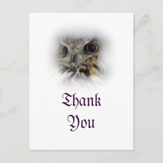 Eurasian Eagle-owl Thank You Postcard