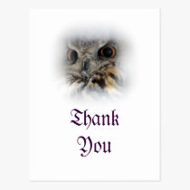 Eurasian Eagle-owl Thank You Postcard postcards