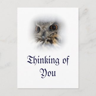 Eurasian Eagle-owl Thinking of You Postcard
