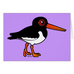 Eurasian Oystercatcher Greeting Card