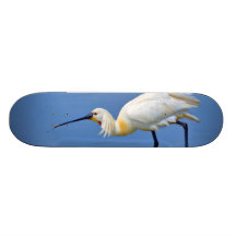 Eurasian Spoonbill Bird Platalea Leucorodia Skate Decks