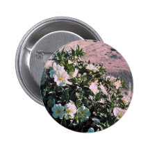 Eureka Evening Primrose Pinback Button