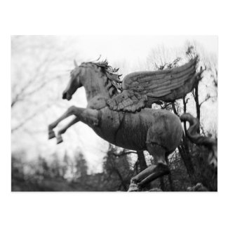 Europe, Austria, Salzburg. Winged horse statue, 2 Postcard