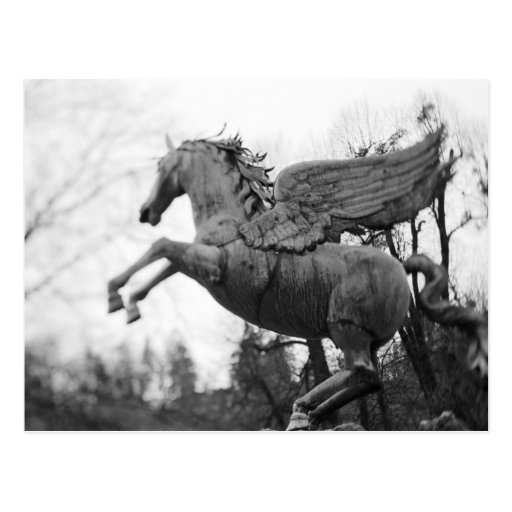 Europe, Austria, Salzburg. Winged horse statue, 2 Postcard