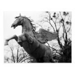 Europe, Austria, Salzburg. Winged horse statue, Post Card