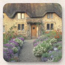 Europe, England, Chippenham. Early morning light Drink Coaster
