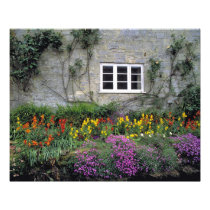 Europe, England, Teffont Magna. Flowers fill