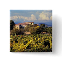 Europe, France, Bonnieux. Vineyards cover the Pinback Buttons