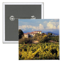 Europe, France, Bonnieux. Vineyards cover the Pinback Buttons