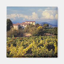 Europe, France, Bonnieux. Vineyards cover the Refrigerator Magnet