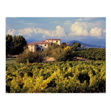 Europe, France, Bonnieux. Vineyards cover the Post Cards