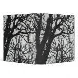 Europe, France, Paris. Winter trees, Marco binders