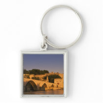 Europe, France, Provence, Avignon. Palais des 2 Key Chain