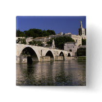 Europe, France, Provence, Avignon. Palais des Pin
