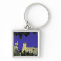 Europe, France, Provence, Avignon. Palais des