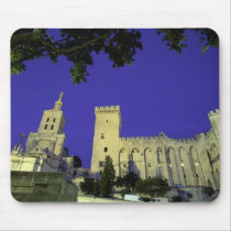 Europe, France, Provence, Avignon. Palais des