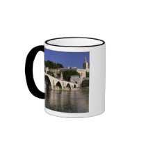 Europe, France, Provence, Avignon. Palais des Mug