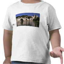 Europe, France, Provence, Avignon. Palais des Tee Shirt