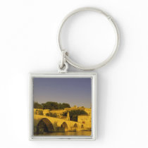 Europe, France, Provence, Avignon. Pont St, 2 Key Chains