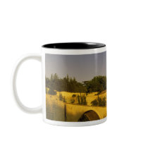 Europe, France, Provence, Avignon. Pont St, 2 Coffee Mug