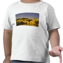 Europe, France, Provence, Avignon. Pont St, 2 Tees