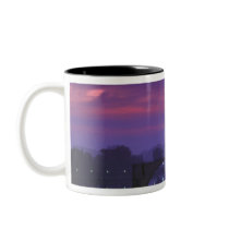 Europe, France, Provence, Avignon. Pont St, Mugs
