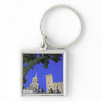 Europe, France, Provence, Vaucluse, Avignon. Keychain