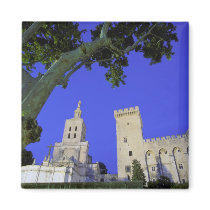 Europe, France, Provence, Vaucluse, Avignon. Fridge Magnets