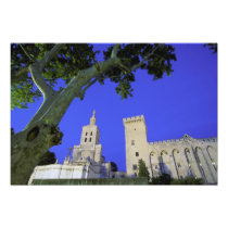 Europe, France, Provence, Vaucluse, Avignon.