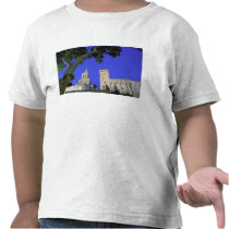 Europe, France, Provence, Vaucluse, Avignon. T Shirt