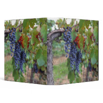 Europe, France, Roussillon. Vineyards, with Vinyl Binders