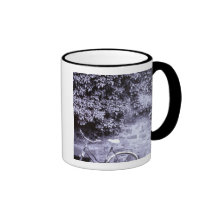 Europe, Germany, Baden, Wurttemberg, Heidelberg. 2 Mugs