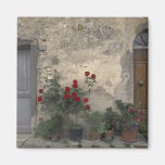 Europe, Italy, Tuscany, Chianti, Tuscan doorway; Magnets