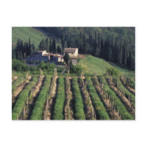 Europe, Italy, Tuscany. Scenic villa cyprus. Post Card
