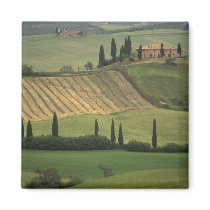 Europe, Italy, Tuscany, Val d' Orcia, Tuscan