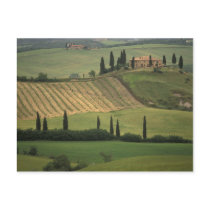 Europe, Italy, Tuscany, Val d' Orcia, Tuscan