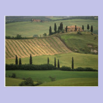 Europe, Italy, Tuscany, Val d' Orcia, Tuscan postcards