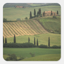 Europe, Italy, Tuscany, Val d' Orcia, Tuscan Sticker