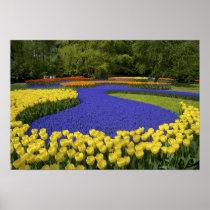Europe, Netherlands, Holland, Lisse, Keukenhof