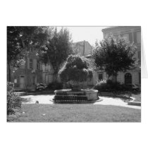 Europe Park cards