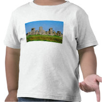 Europe, United Kingdom, England, Wiltshire, T Shirts