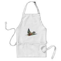 European Bee-eater Bird