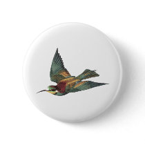 European Bee-eater Bird
